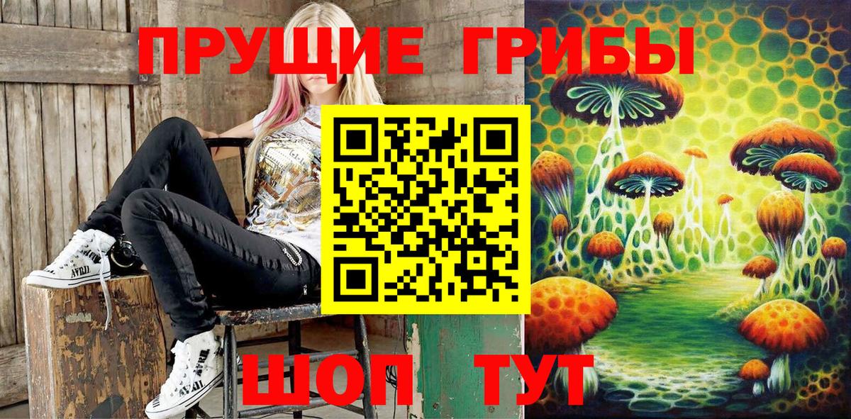 Ростов Великий  Псилоцибиновые грибы ЛСД  Вход с VPN 
